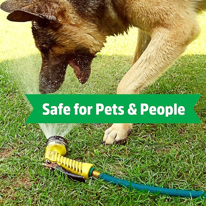 Back to the Roots Kink Resistant, BPA-Free Garden Hose, 100ft