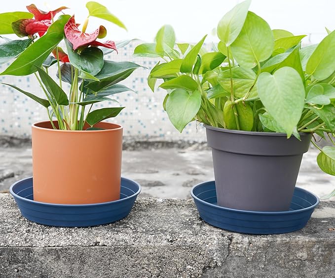 Plant Saucer 14 Inch 4 Pack 6 8 10 12 14 16 18 20 25, Plastic Plant Trays for Pots，Extra-Deep Plant Water Dray Tray, Bird Bath Bowl, Heavy Flower Plant Saucers Indoors and Outdoor No Holes