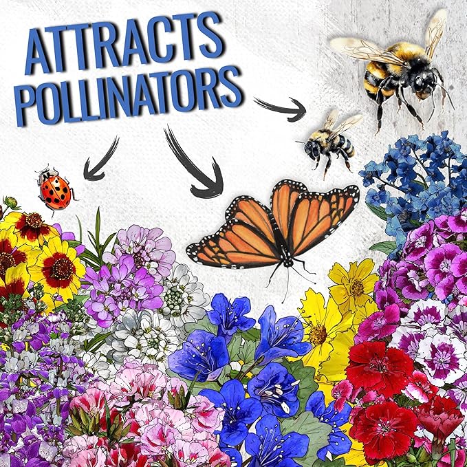 Seed Needs Low Growing Wildflower Flower Seeds for Planting | 2 Packs (1 Ounce Each) Mixture/Blend 17 Varieties | Resealable Package Multicolored Blooms Open Pollinated Mixed Species | Bulk