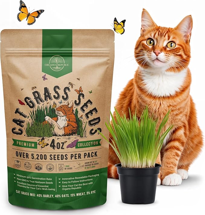 Cat Grass Seeds Mix - 5,200 Non-GMO Heirloom Seeds for Cats & Pets, 4 oz Pack for Growing Fresh Barley, Oat, Rye & Wheat Grass Seeds for Planting, Indoor Plants for Pets, Hairball Remedy for Cats