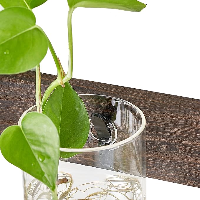 Mkono Propagation Station Wall Planter Glass Cylinder Vase Hanging Terrarium for Hydroponics Plant Cutting Indoor Outdoor Decor Brown, Plant Lover Gift