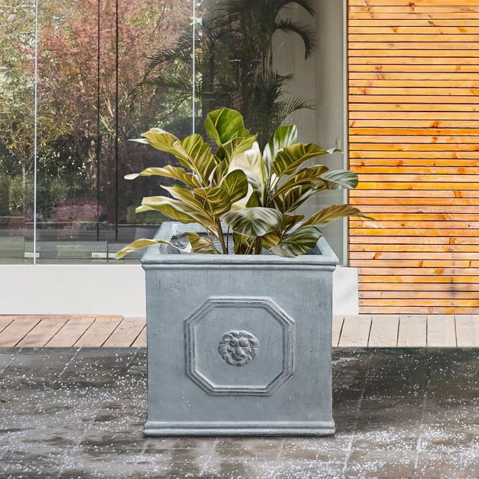 Kante Square Lion Head Concrete Planter, Classic English Style Plant Pot with Drainage Hole and Rubber Plug for Indoor Outdoor Garden Patio Home, 10.2"x10.2"x 10.2" Antique Gray
