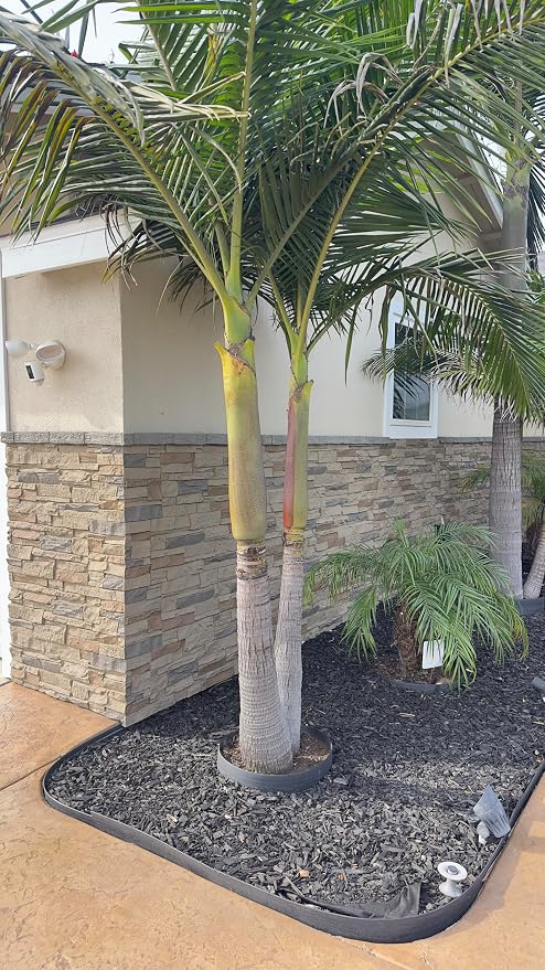 Faux Stone Wall Panels 1-Pack PU Stone Veneer Siding, Mortarless 46.25x12.88 - Image 2