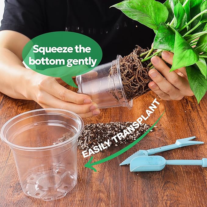 50 Packs 4 Inch Reinforced Clear Nursery Pots with Drainage Hole, Transparent Variety Pack Plastic Plant Pot Seedling Planter Seed Starter Flower