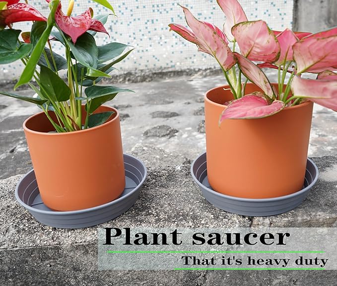 Plant Saucer 14 Inch 4 Pack 6 8 10 12 14 16 18 20 25, Plastic Plant Trays for Pots，Extra-Deep Plant Water Dray Tray, Bird Bath Bowl, Heavy Flower Plant Saucers Indoors and Outdoor No Holes