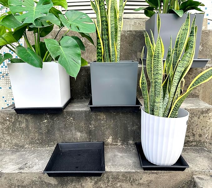 Square Plant Saucer 10 Inch 2 Pack 6 8 10 12 14 16 18 20 Inch, Plant Trays for Pots Heavy Duty Plastic Plant Saucers for Indoors Outdoors, Flower Pot No Holes Plant Drip Trays