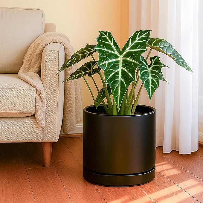 D'vine Dev 8 Inch & 10 Inch Ceramic Planter Pot for Plants with Drainage Hole and Saucer, Large Plant Pots Set, Black, 94-G-L-2