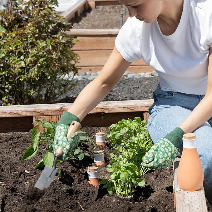 Plant Self Watering Globes - Terracotta Watering Spikes - Slow Release Olla Watering Pots - Drip Irrigiation Olla System