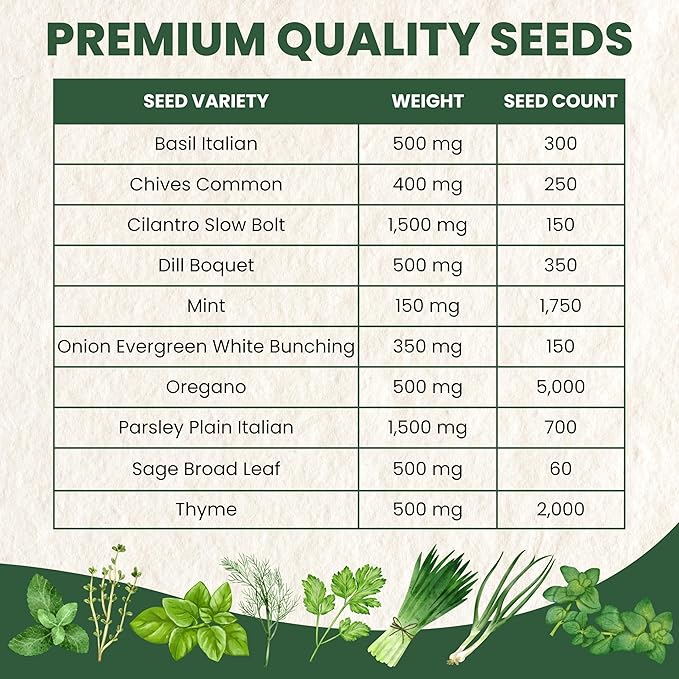 Herb Seeds | 10 Invidiual Packs | 2025 Season | Non-GMO | Mint, Parsley, Basil, Thyme & More! | for Planting Indoor & Outdoor | by Family Sown