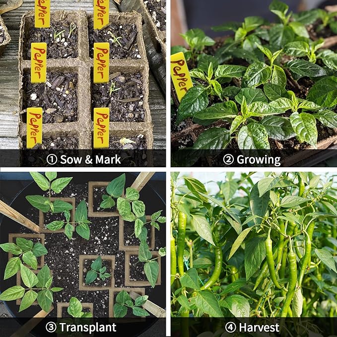 200Cells Seedling Start Trays with Drain Holes,20pcs Peat Pots Seedling Pots Biodegradable,Seedling Starter Kit,Organic Germination Plant Starter Trays(200xLabels,2xTransplant Tools,1xSpray Bottle)