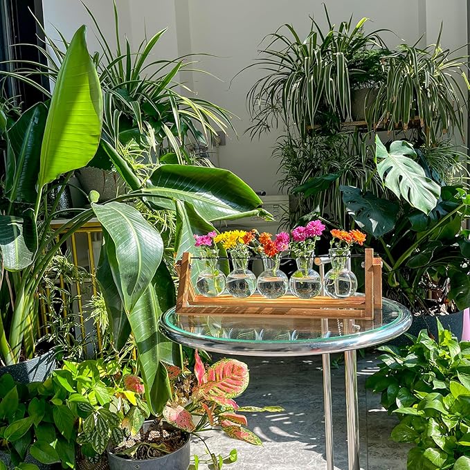 Kingbuy Plant Propagation Station with 5 Bulb Vases Retro Wooden Stand Desktop Glass Planter Terrarium for Hydroponics Plants Home Office Décor