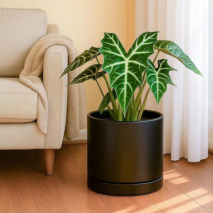 D'vine Dev Set of 2 Plants Pots, 10 Inch Ceramic Planter Pot for Plants with Drainage Hole and Saucer, Black, 94-V-E-2