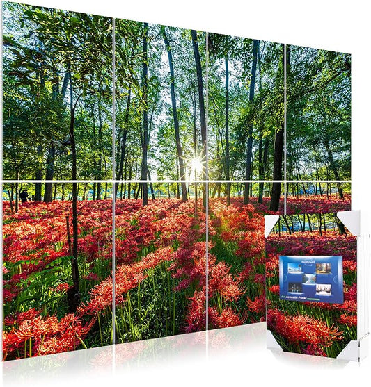 Mollywell Art Acoustic Panels, Sound Proofing, Wall Decoration, Suitable by Mollywell