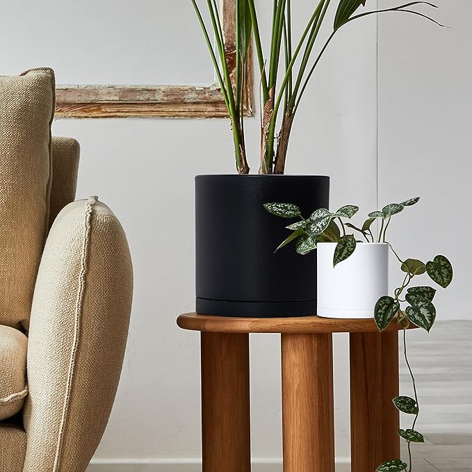 D'vine Dev 6 Pack 5 Inch Modern Plastic Plant Pots, Small Garden Planters for Plant with Drainage Holes and Saucers, White Color, 74-Z-G-3