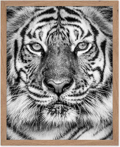 Poster Master Vintage Tiger Face Print by PosterMaster