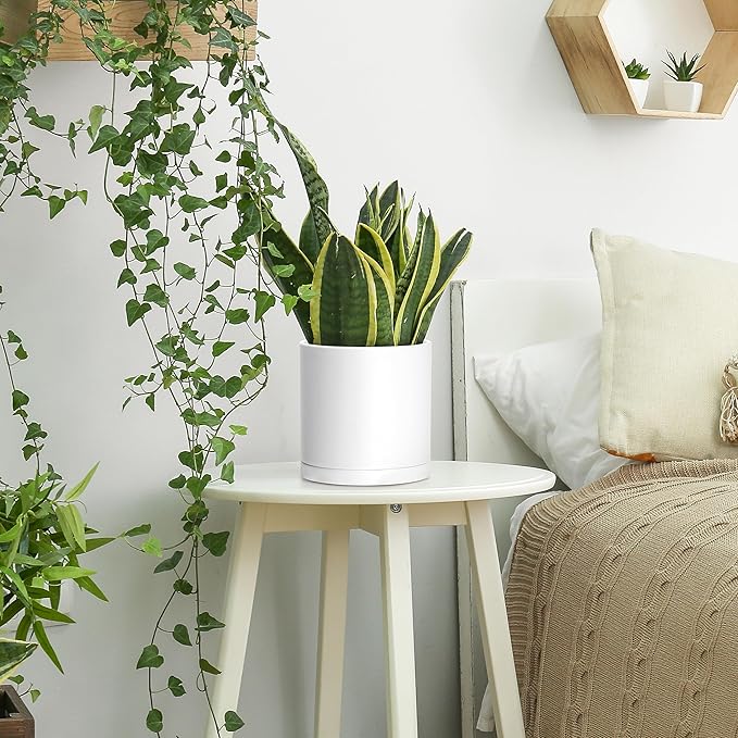 D'vine Dev 2 Pack 6.5 Inch Modern Plastic Plant Pots, Small Garden Planters for Plant with Drainage Holes and Saucers, White Color, 74-Z-L-1