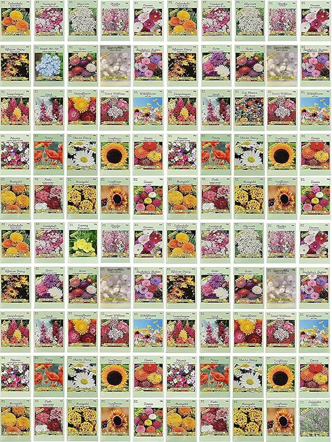 Black Duck Brand Set of 100 Flower Seed Packets! Flower Seeds in Bulk - Best Value Seeds - Great for Classrooms, Beginner Gardeners and Kids! - Deluxe Varieties! (100)