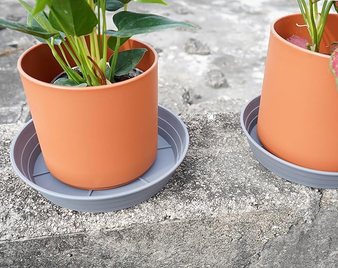 Plant Saucer 14 Inch 2 Pack 6 8 10 12 14 16 18 20 25, Plastic Plant Trays for Pots，Extra-Deep Plant Water Dray Tray, Bird Bath Bowl, Heavy Flower Plant Saucers Indoors and Outdoor No Holes