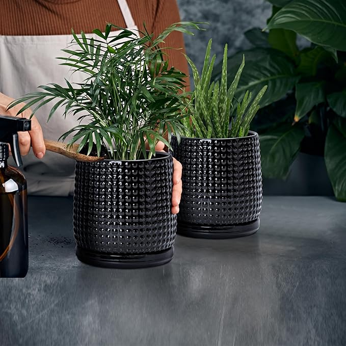 D'vine Dev Set of 2 Ceramic Plants Pots, 6 Inch Beaded Stoneware Flower Pot for Plants with Drainage Hole and Saucer, Glossy Black, 27-E-X-2