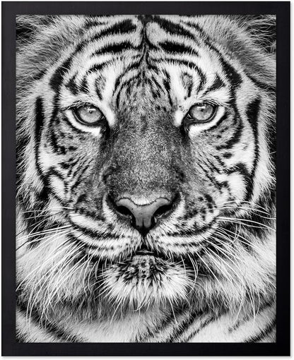 Poster Master Vintage Tiger Face Print by PosterMaster