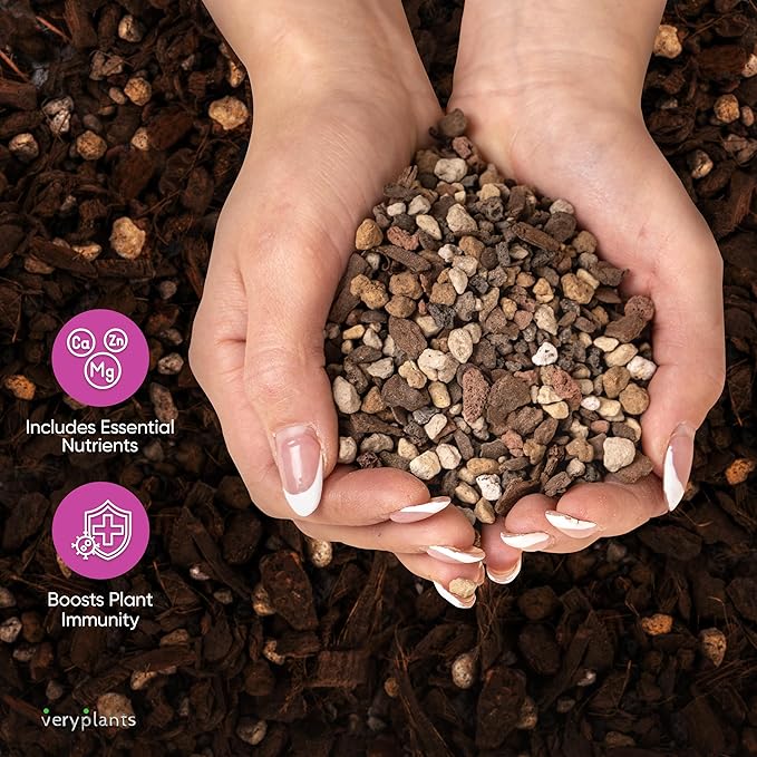 Molly's Succulent Mix - Premium Gritty Soilless Potting Mix for Succulents, Cactus and Bonsai - Contains Akadama, Hyuga, Bark Fines, Pumice, Lava Rock, Mycorrhizae 5 Dry Quarts