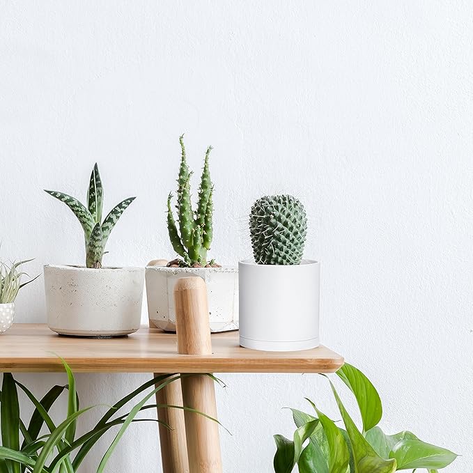D'vine Dev 4 Pack 4 Inch Modern Plastic Plant Pots, Small Garden Planters for Plant with Drainage Holes and Saucers, White Color, 74-Z-E-2