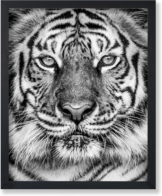 Poster Master Tiger Print by PosterMaster