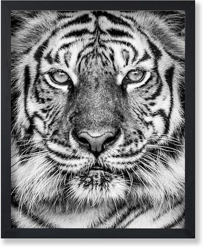 Poster Master Vintage Tiger Face Print by PosterMaster