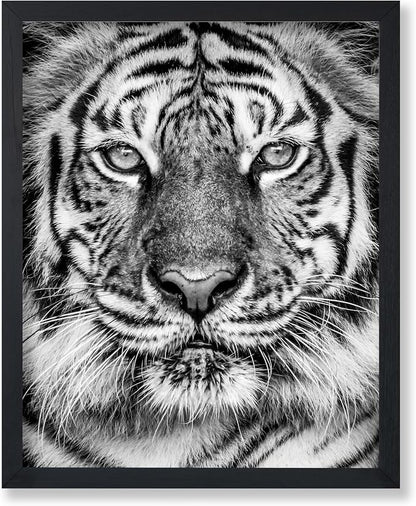 Poster Master Tiger Print by PosterMaster