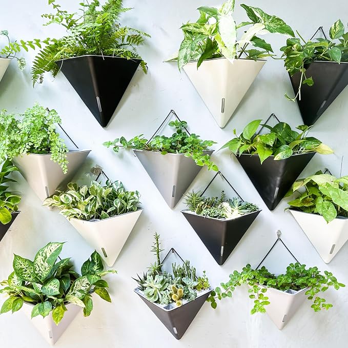 LaLaGreen Wall Planters for Indoor Plants - Image 7