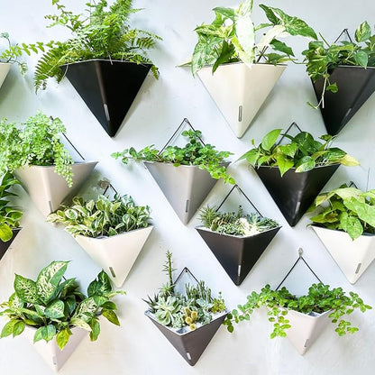 LaLaGreen Wall Planters for Indoor Plants - Image 9