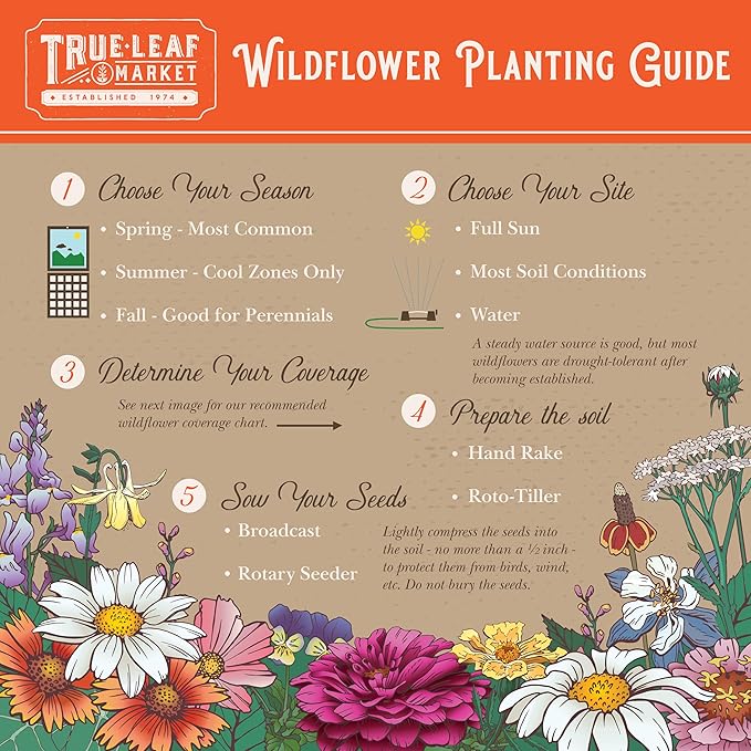 All Annual Wildflower Mix Seed for Planting - 1 Lb ~16,000+ Seeds - 21 Varieties Including California Poppy, Indian Blanket, Scarlet Flax, & More - Attracts Pollinators - Bulk Wildflower Seeds
