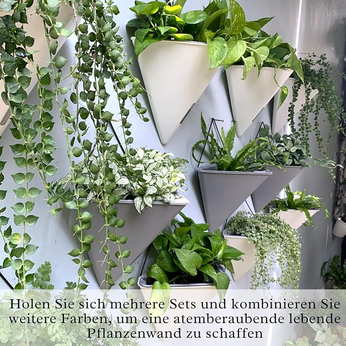 LaLaGreen Succulent Wall Planters - Image 7