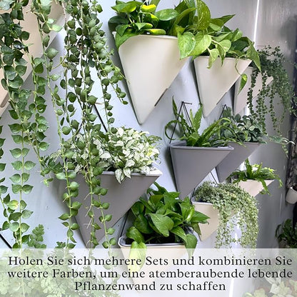 LaLaGreen Wall Planters for Indoor Plants - Image 6