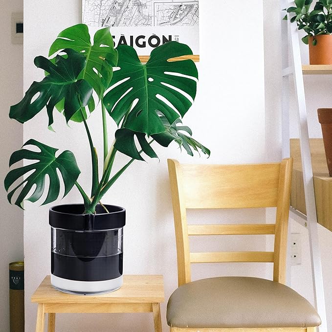 Phoenix Vine 8 Inch Self Watering Terracotta Planter, Black Terracotta Clay Pot with Glass Reservoir for Indoor Plants, Herbs, Flowers, Set of 1, 52-C-H-1