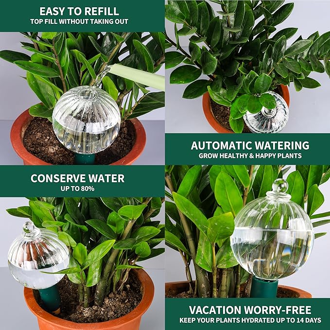 23 oz Extra Large Plant Watering Globes Top Fill, Clear Glass Water Bulbs with Terracotta Spikes Adapter, Slow Release Vacation Plant Watering Devices, Automatic Drip Irrigation, 2 Pack