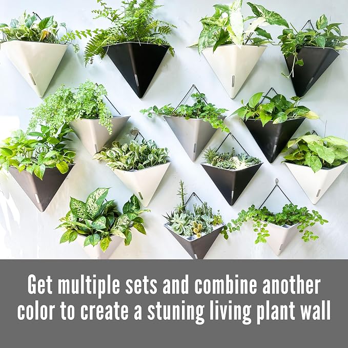 LaLaGreen Wall Planters for Indoor Plants - Image 6
