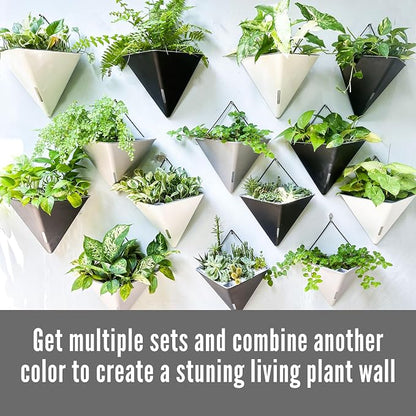 LaLaGreen Wall Planters for Indoor Plants - Image 6