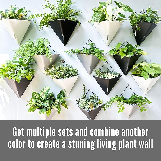 LaLaGreen Wall Planters - Image 6