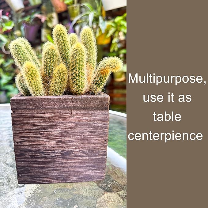 LaLaGreen Wood Planter Boxes (4 Pack, 4x4 Inch) Small Square Wooden Wall Mounted Flower Pot for Indoor Plants, Window Box Mount Hanging Herb Planters Outdoor Plant Holder Vertical Garden Home Decor