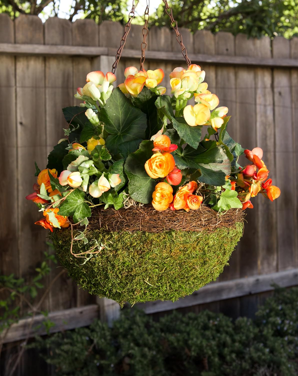 SuperMoss (29319 MossWeave Hanging Basket | Outdoor Hanging Planter with Moss | Decorative Plant Hanger for Porch, Balcony, Garden & Home Décor, Round with Wicker Rim, Set of 3 (S/M/L), Green