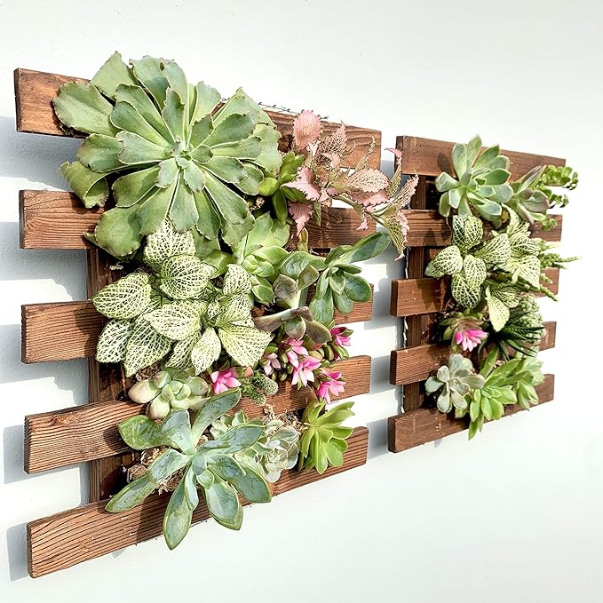 ShopLaLa Wall Planter - 2 Pack Wooden Hanging Succulent Wall Decor, Live Air Plants Orchids Wall Mounted Holder Frame Display for Indoor Outdoor, Living Plant Wall Decor Balcony Garden