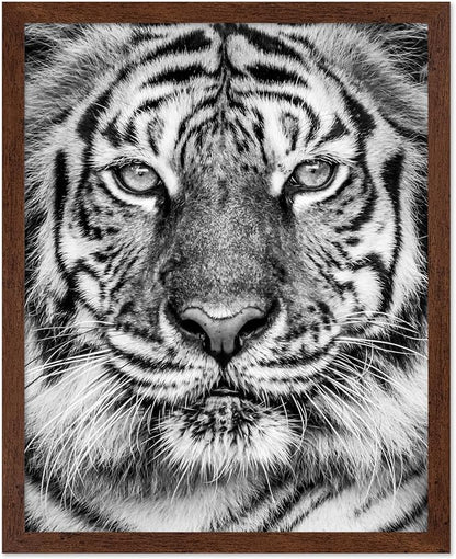 Poster Master Vintage Tiger Face Print by PosterMaster