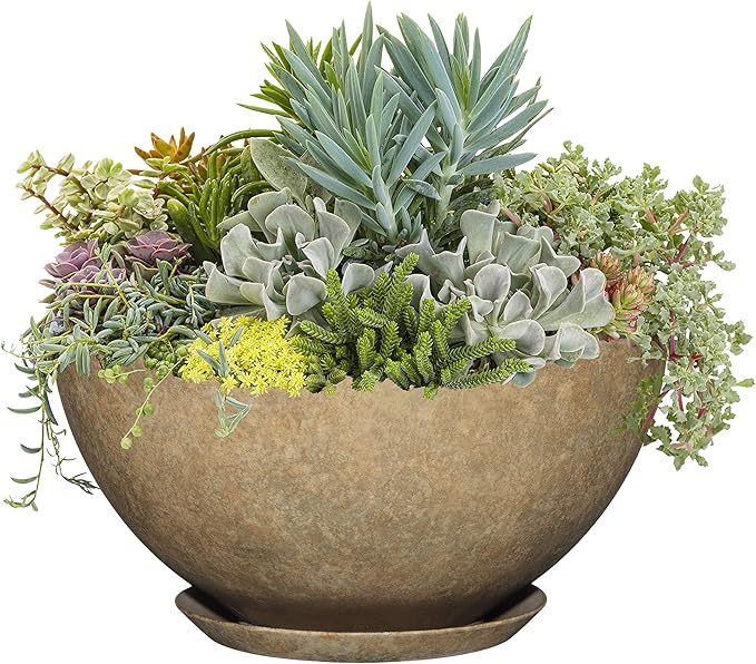Classic Home and Garden Premiere Collection Planter, Rosie 10", Earth
