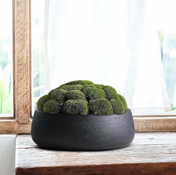 Olly & Rose Copenhagen Large Ceramic Planter Bowl Shallow Plant Pot - Matt Black Flower Pot Indoor and Outdoor Garden Décor…