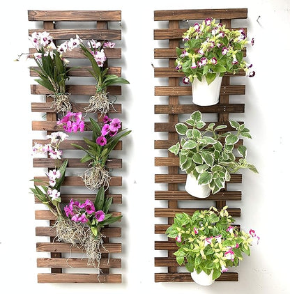 ShopLaLa Wall Planter – Hanging Planter by ShopLaLa