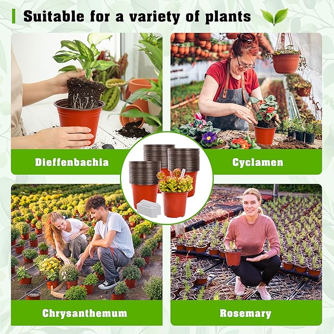 TDHDIKE 6 Inch Plastic Plant Nursery Pot/Pots (100pcs Pots and 100pcs Plant Labels) Seedlings Flower Plant Container (Red) Seed Starting Pots Indoor Outdoor