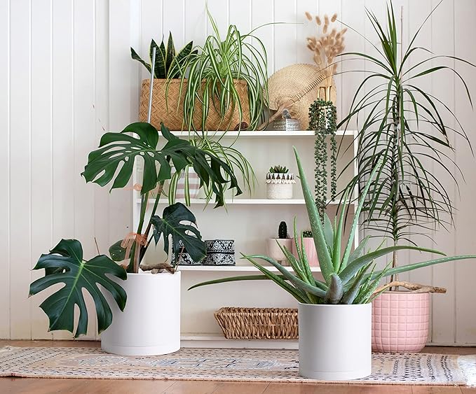 D'vine Dev 2 Pack 12 Inch Modern Plastic Plant Pots, Small Garden Planters for Plant with Drainage Holes and Saucers, White Color, 74-Z-P-1