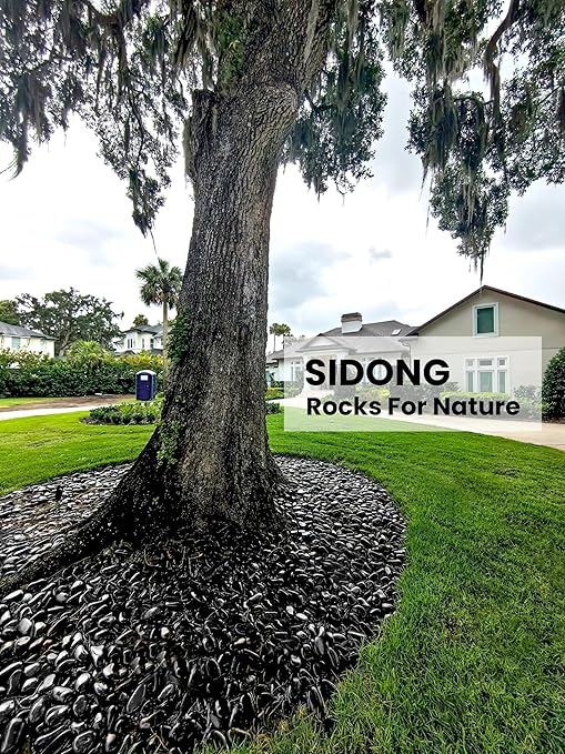 SIDONG 10 LB Black River Rocks, 0.3-0.5 Inches High Polished Pebbles for Indoor Plants, Aquarium Rocks Used in Fish Tank, Decorative Stones for Plants, Vases, Home Décor, Crafting, Garden Landscaping