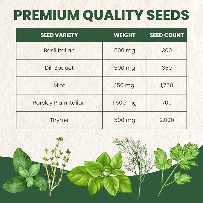 Herb Seeds | 5 Invidiual Packs | 2025 Season | Non-GMO | Basil, Dill, Mint, Parsley & Thyme! | for Planting Indoor & Outdoor | by Family Sown